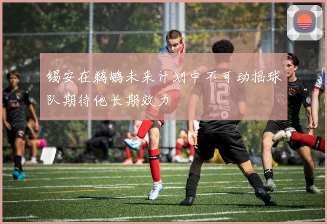 锡安在鹈鹕未来计划中不可动摇球队期待他长期效力