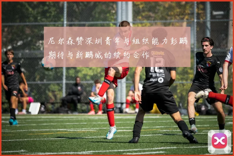 尼尔森赞深圳青年与组织能力彭鹏期待与新鹏城的续约合作